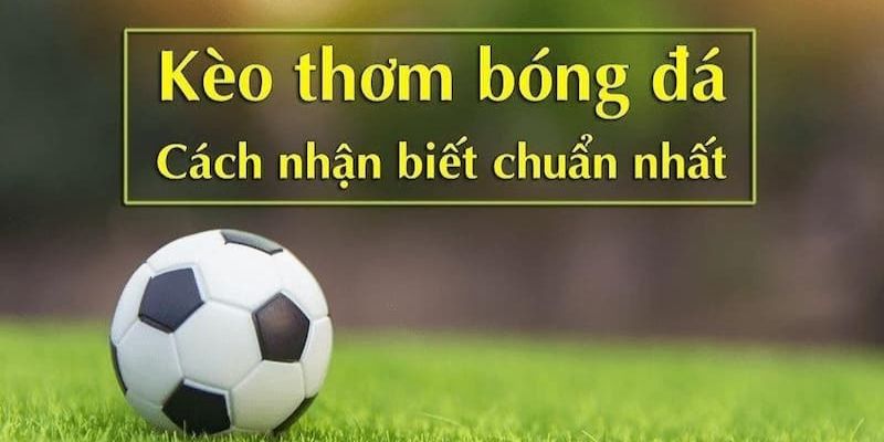 Theo dõi cách nhận biết kèo thơm chuẩnTheo dõi cách nhận biết kèo thơm chuẩn