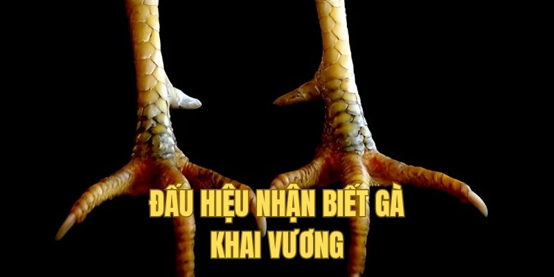 Cách nhận biết một chiên chuẩn Khai Vương