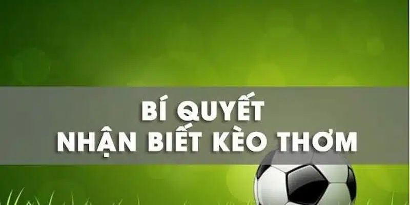 Bí quyết nhận biết kèo thơm từ chuyên gia bóng đá U888